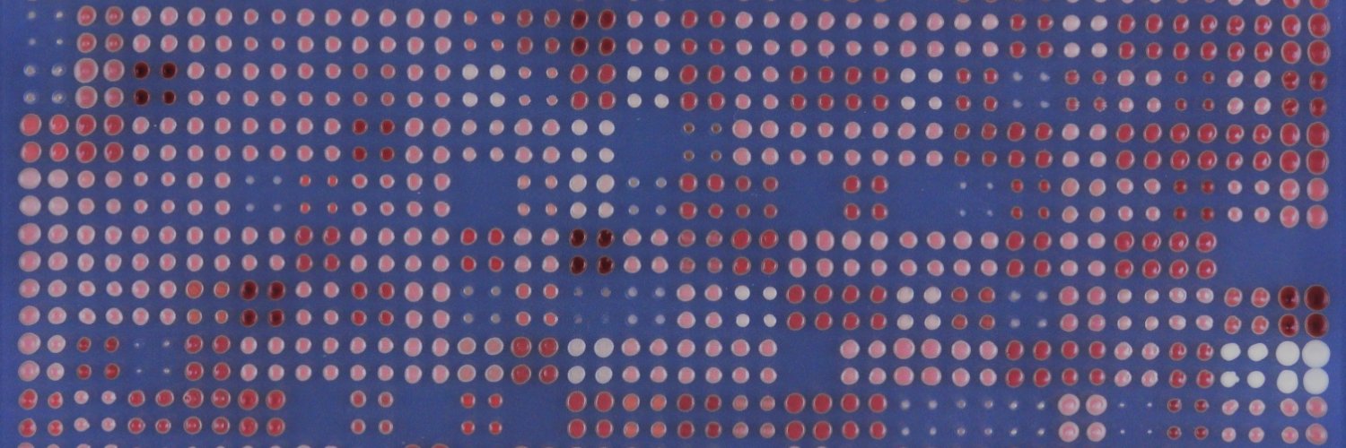 Tomas Strucko banner