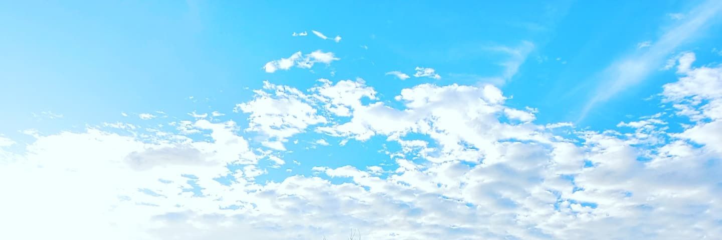 _bijucr's profile banner image