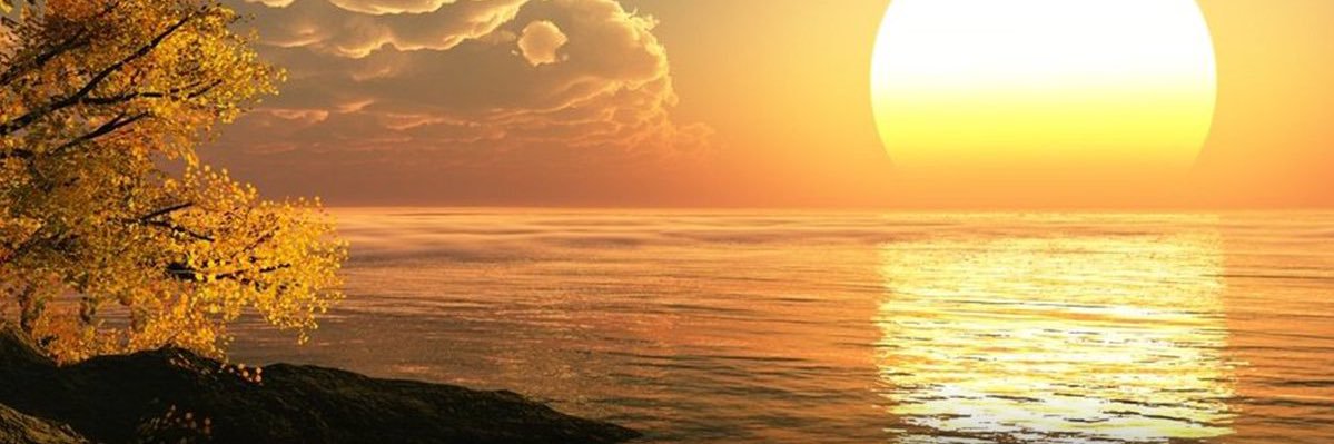 AlhabibHalima's profile banner image