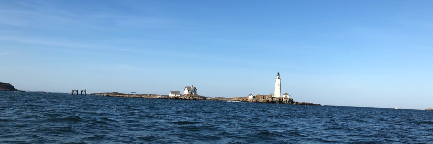 CosmicDragonFly banner