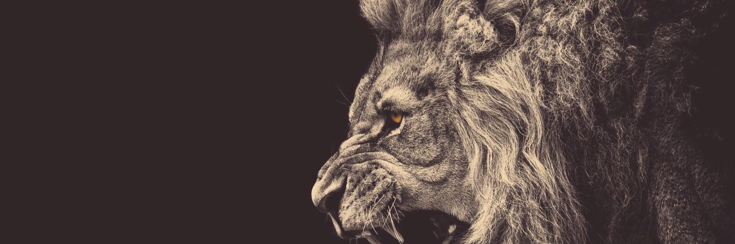 Angelo Torres banner