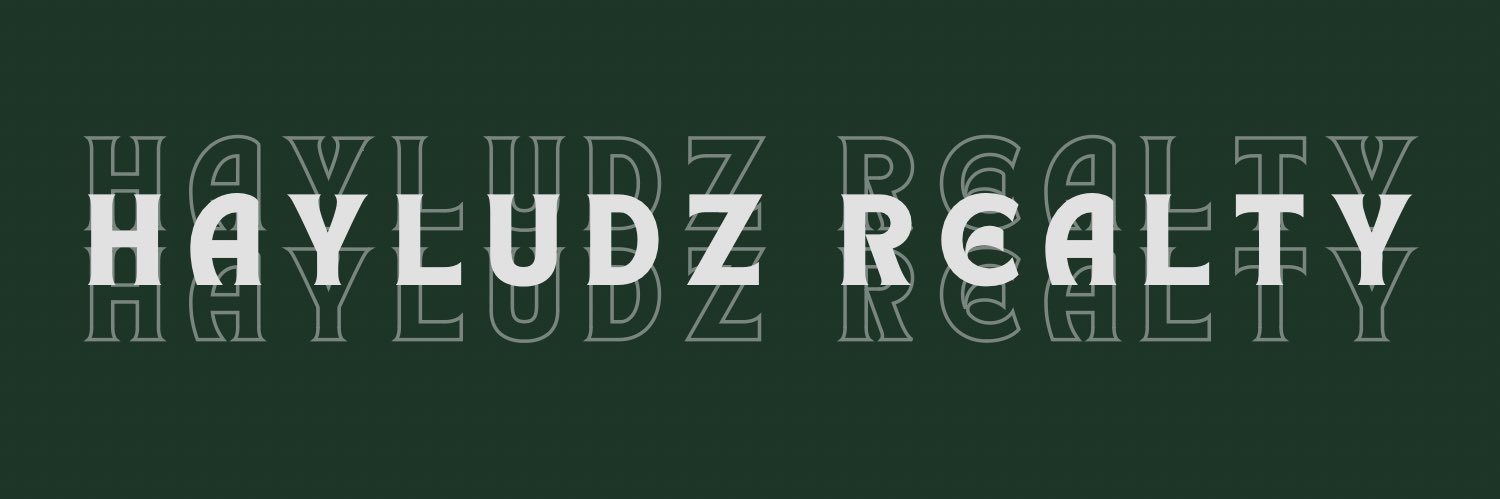 Hayludz's profile banner image
