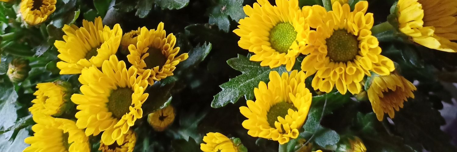 kuntilmoderen's profile banner image