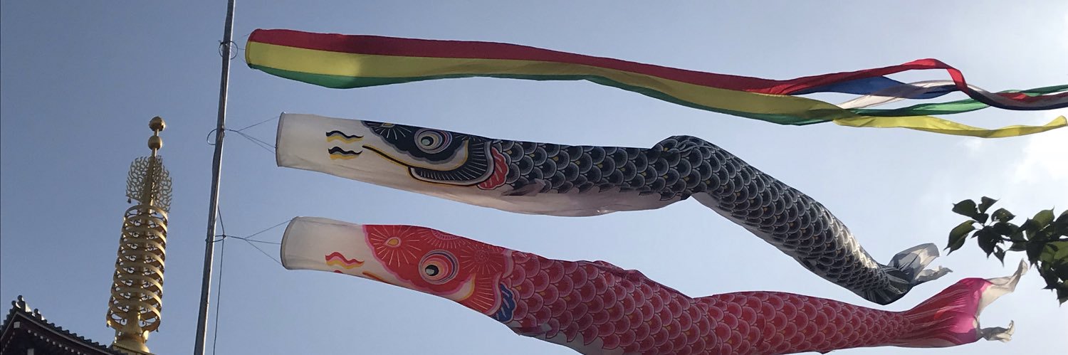 librellula's profile banner image