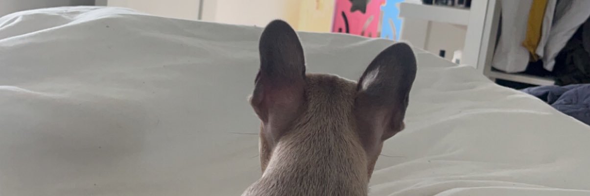 dylan_gough's profile banner image
