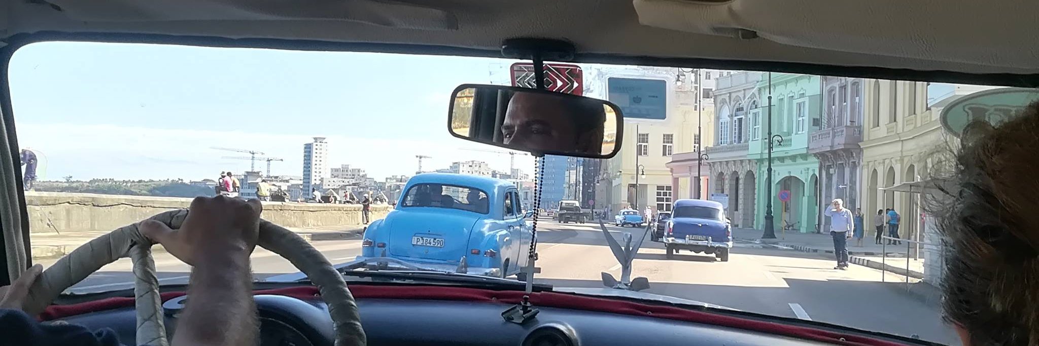 Paola Panzeri banner