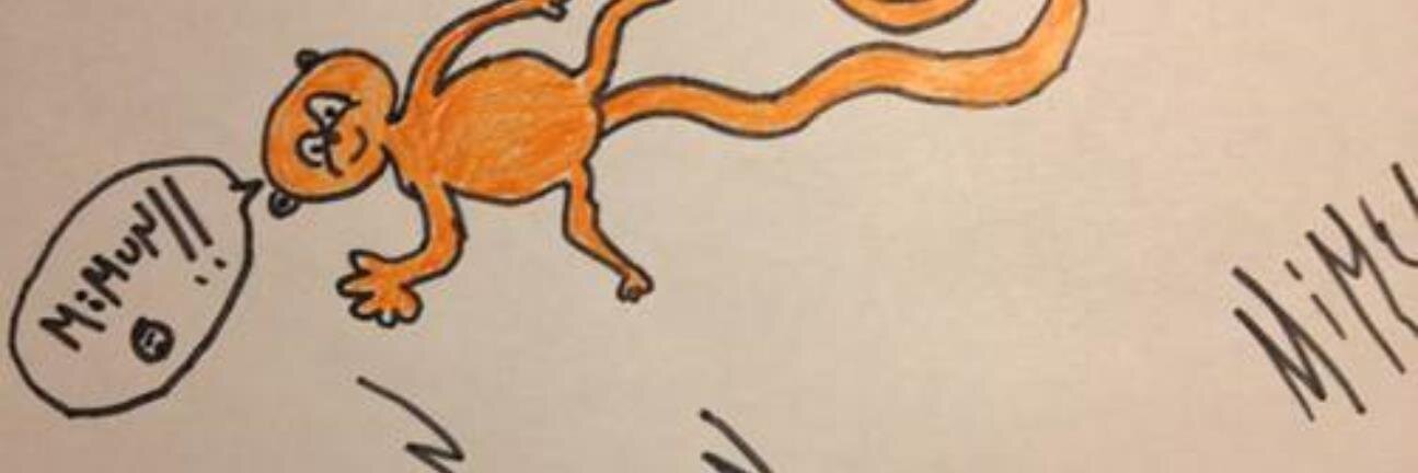 Simalsan's profile banner image