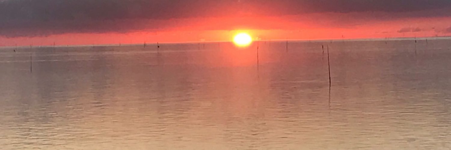 IBeuningen's profile banner image