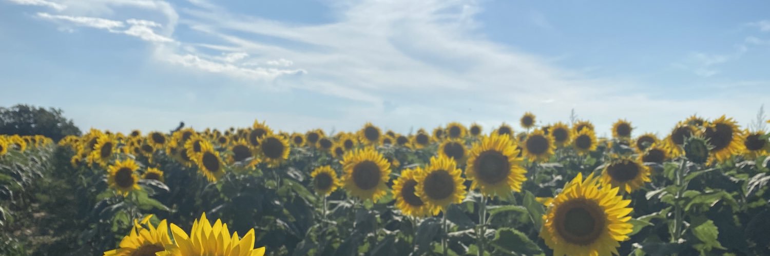 CallMeQueen_lc's profile banner image