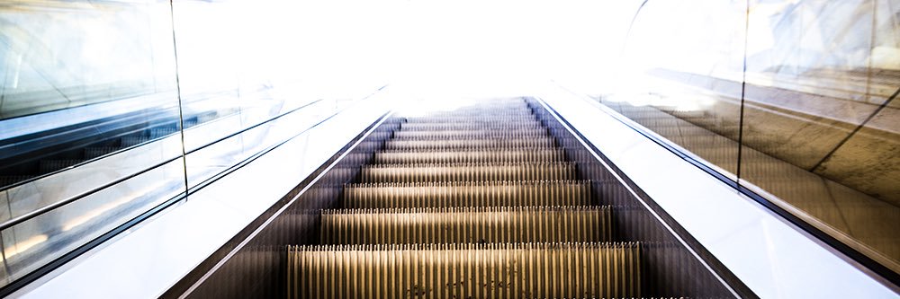 Daltónico errante banner