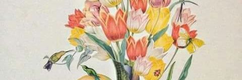 LupithaHoran's profile banner image