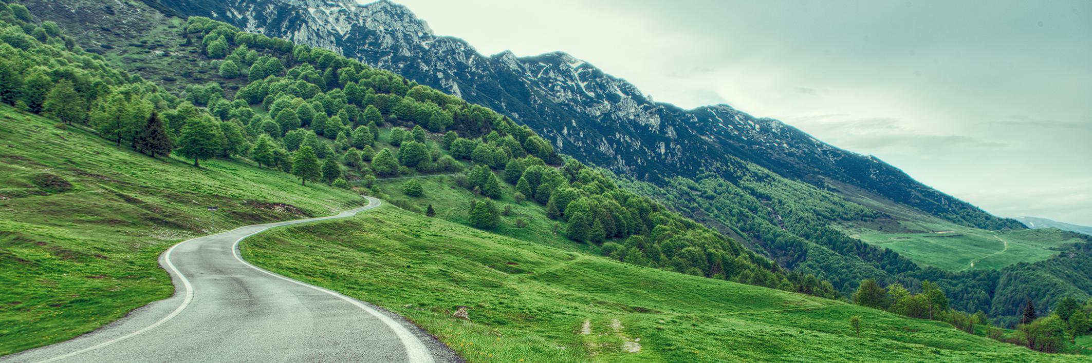 Zoltan Takacs banner
