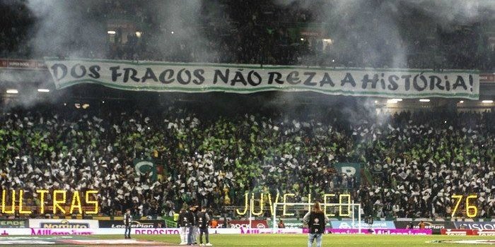 InesGoncalves02's profile banner image