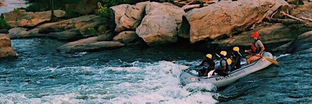 The black scientist banner