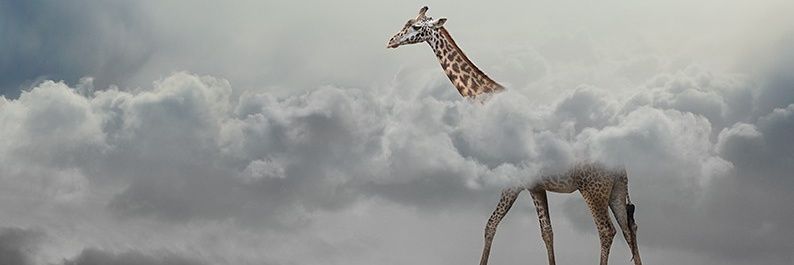 OgnyanIsaev's profile banner image