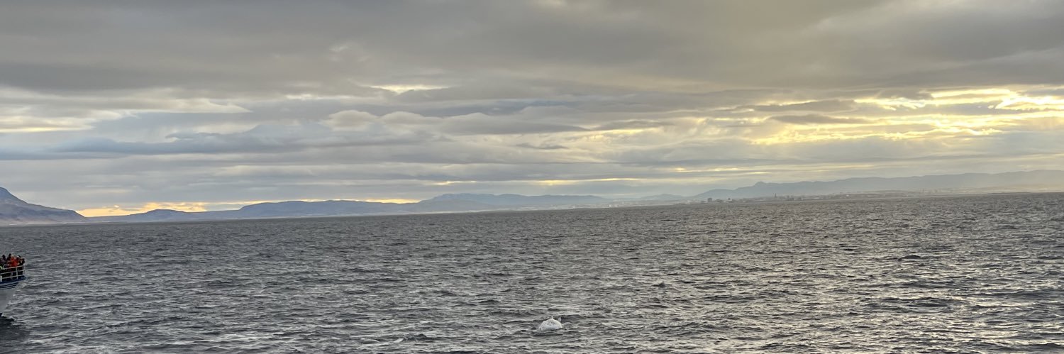 AdamPembrey's profile banner image