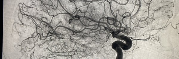 YH1M Profile Banner