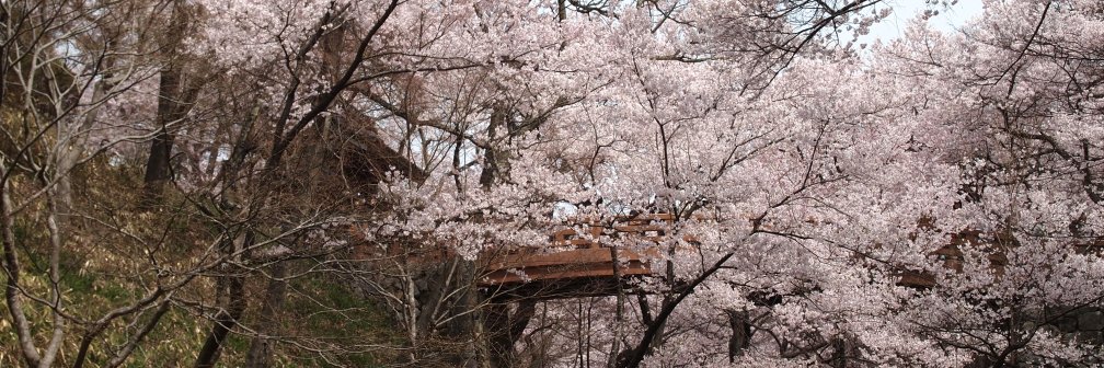 ばら banner