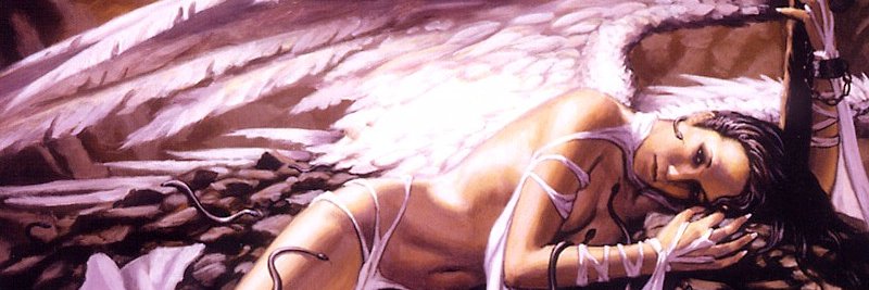 Simon Davis banner