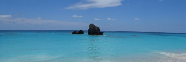 rosebermuda Profile Banner