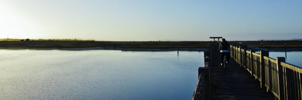 ParqueTorunos Profile Banner