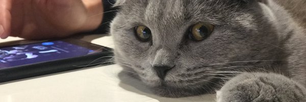 terroirartisans Profile Banner