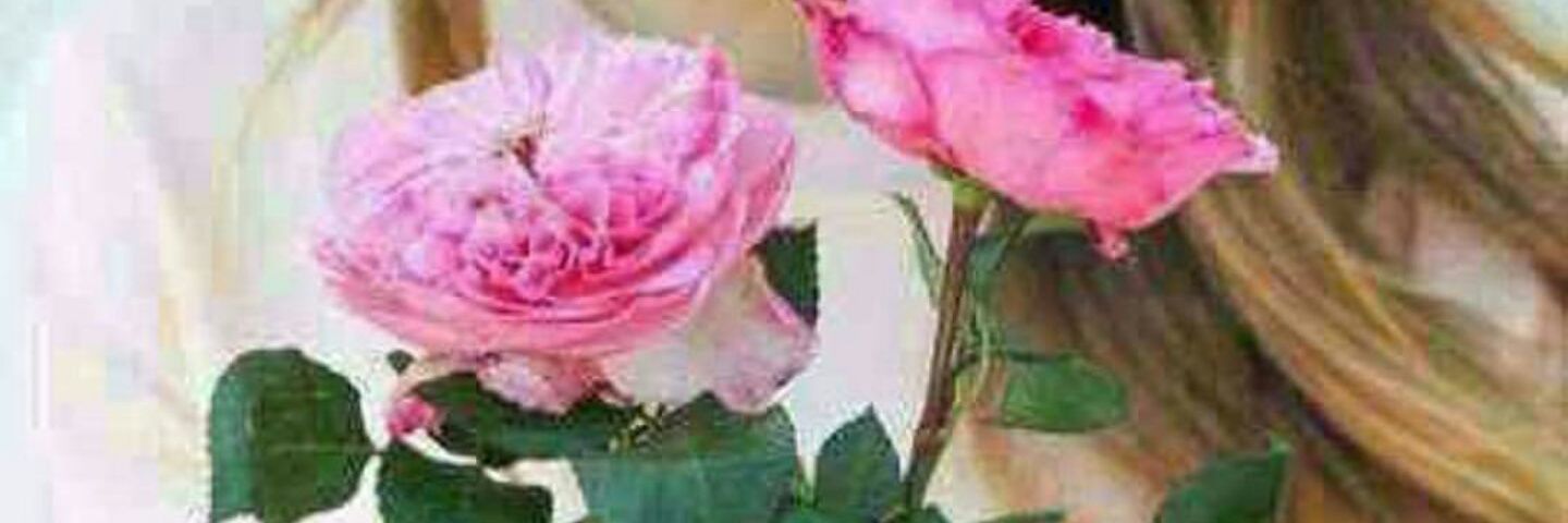 albornsh's profile banner image