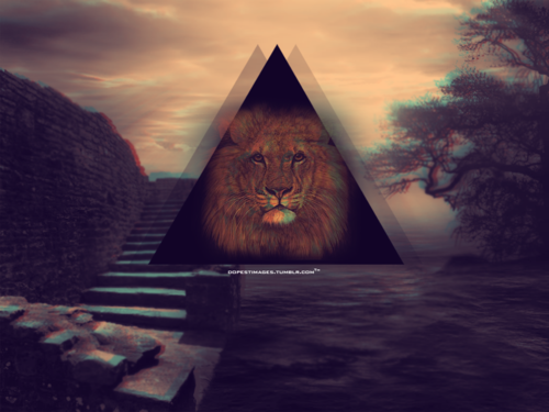 rullyalkhalifi's profile banner image