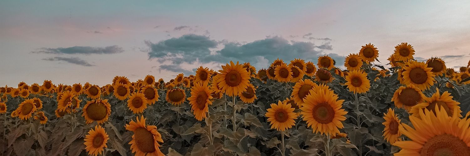 stervitej's profile banner image