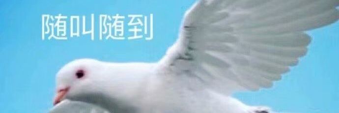 playershisan's profile banner image