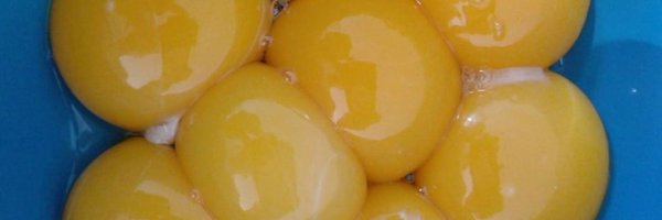 shelbeleh Profile Banner