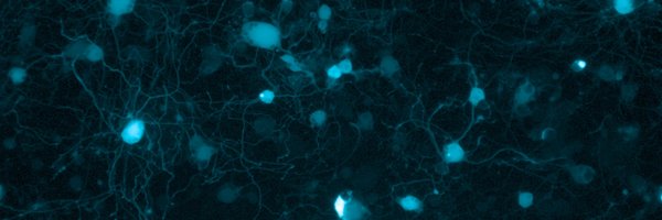interlukein Profile Banner