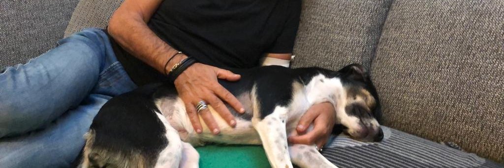 varoufakis@OK.de banner