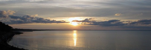 Bobsan banner