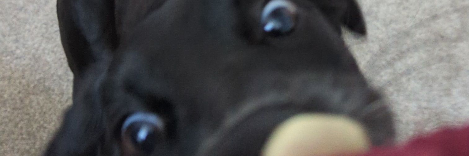 bamidgey's profile banner image