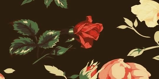 SelinTekcan's profile banner image