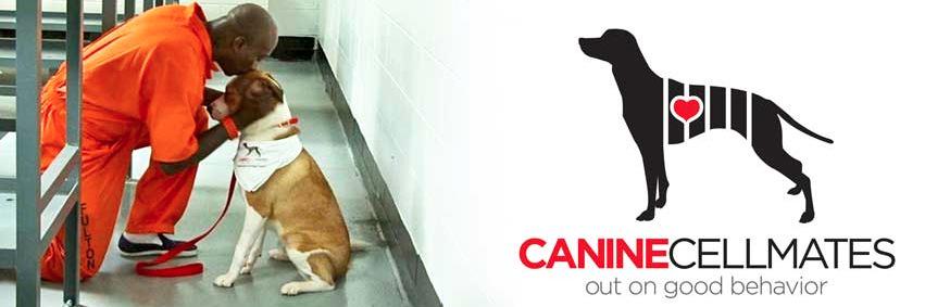 CanineCellMates banner