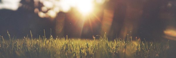 hua Profile Banner