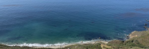 BUGWOR Profile Banner