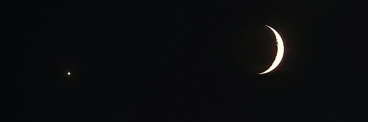 ozlemmerenn's profile banner image