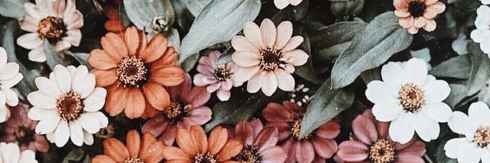 vntruo's profile banner image