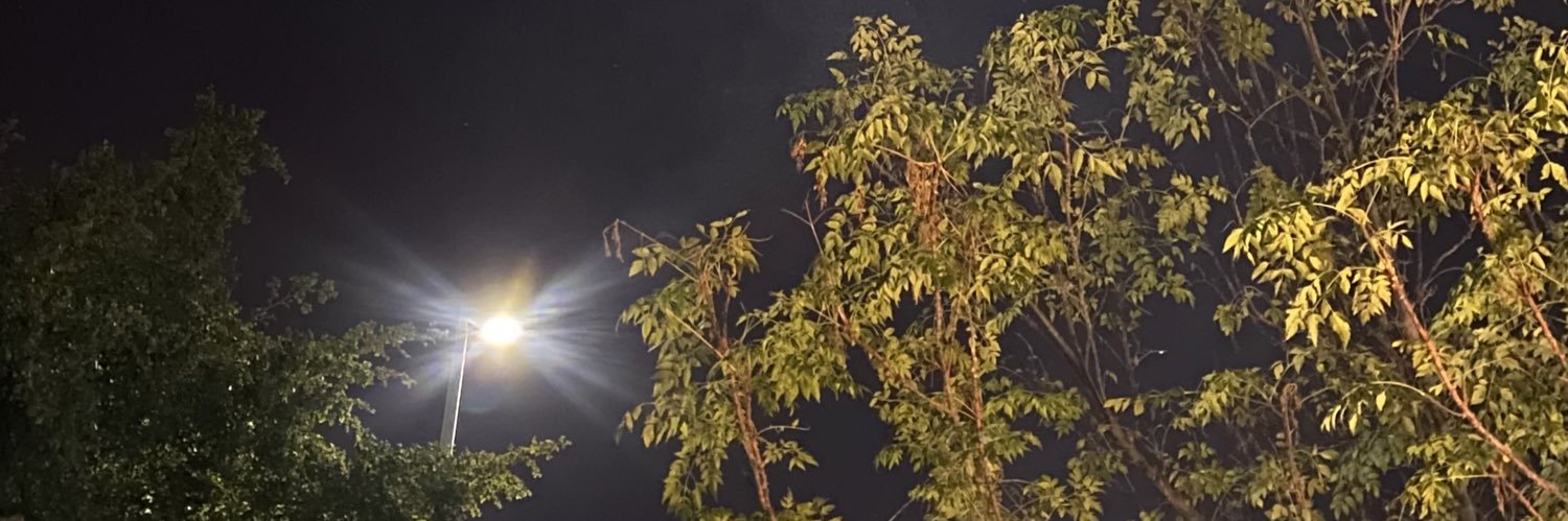 she___47's profile banner image