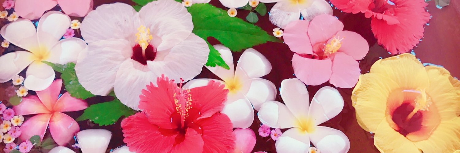 teddy_hiroko45's profile banner image