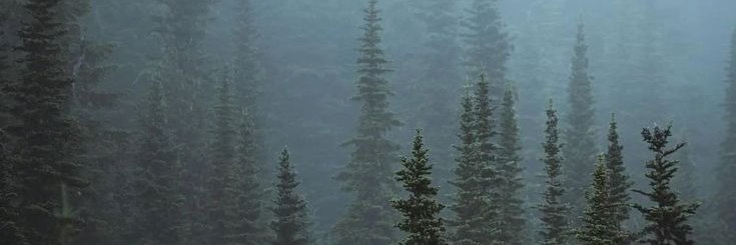 FarhAnonymous_'s profile banner image