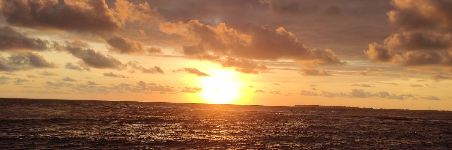 ineelll's profile banner image