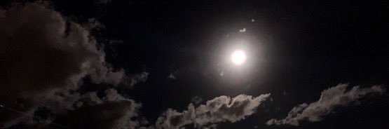 esse_199's profile banner image