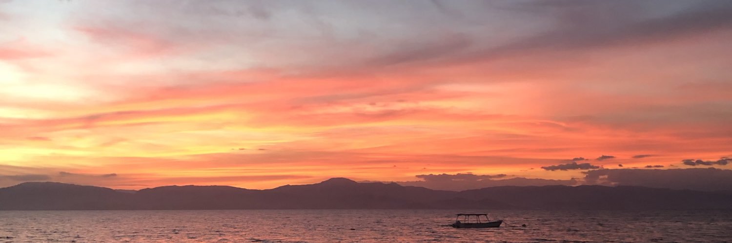 AlvaGustavsson's profile banner image