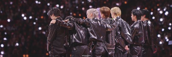 mushroomtle Profile Banner