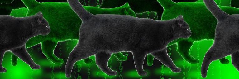 thebaddestbinch's profile banner image