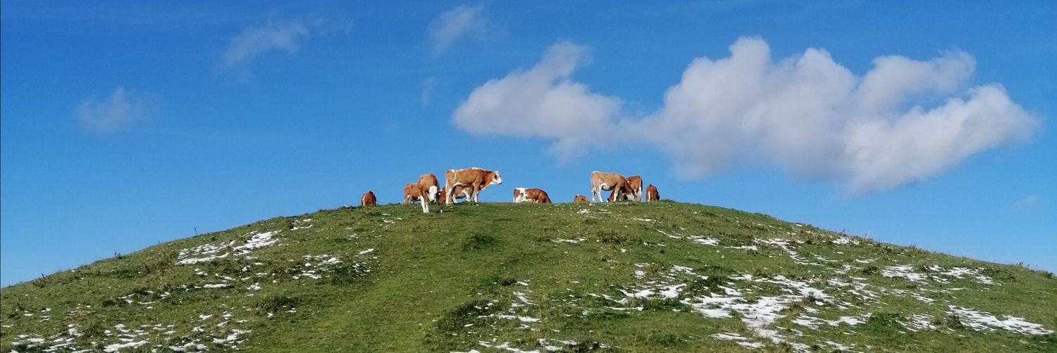 Kaspar Lauser banner